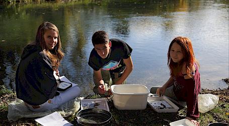 Die praktischen Kurse