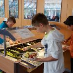 Salatbuffet